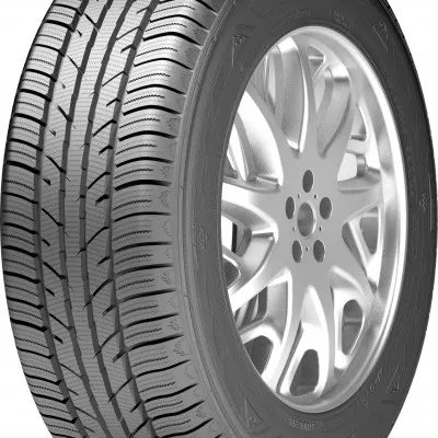 165/65 R14 WP1000
