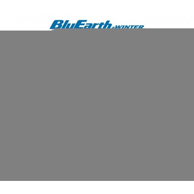 225/65 R17 BluEarth*Winter V906 SUV