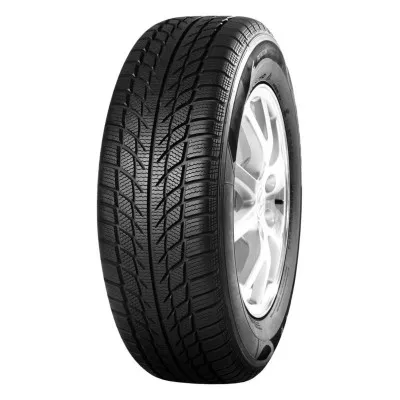 205/55 R16 WESTLAKE SW608