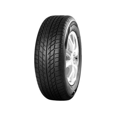 205/55 R16 GOODRIDE SW608