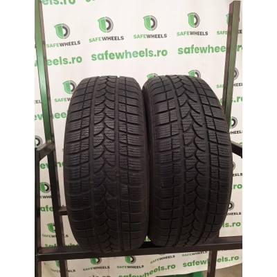 Sebring Snow 205/55 R17
