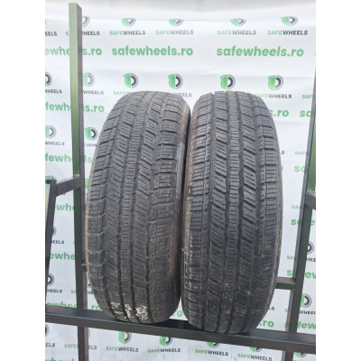 Minerva Ice-plus s110 205/70 R15